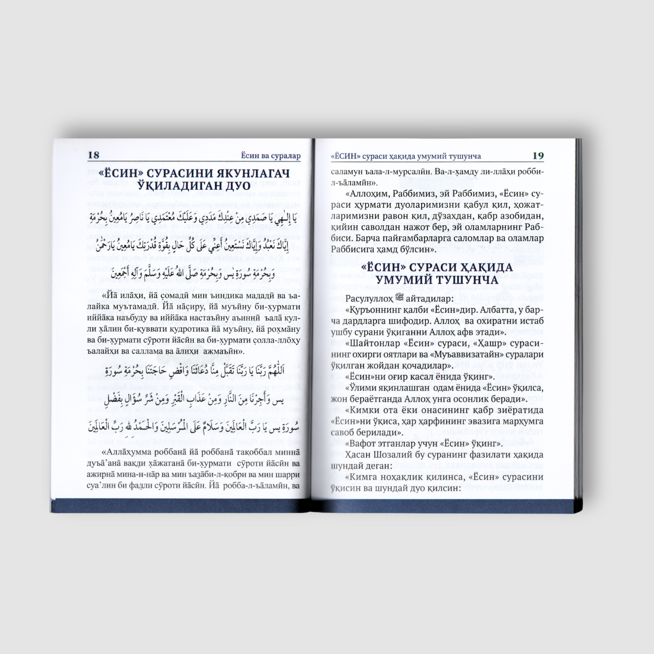 Yosin va suralar - Image 4